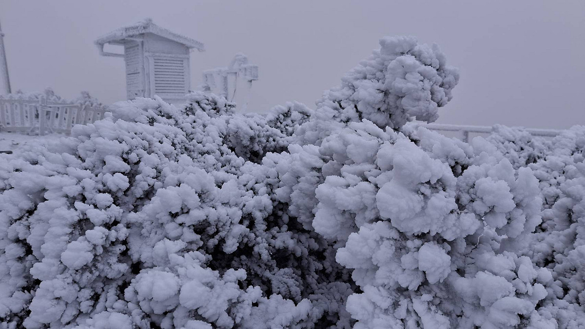 玉山於6時前雪停，積雪深1.5公分。 圖：氣象署／提供