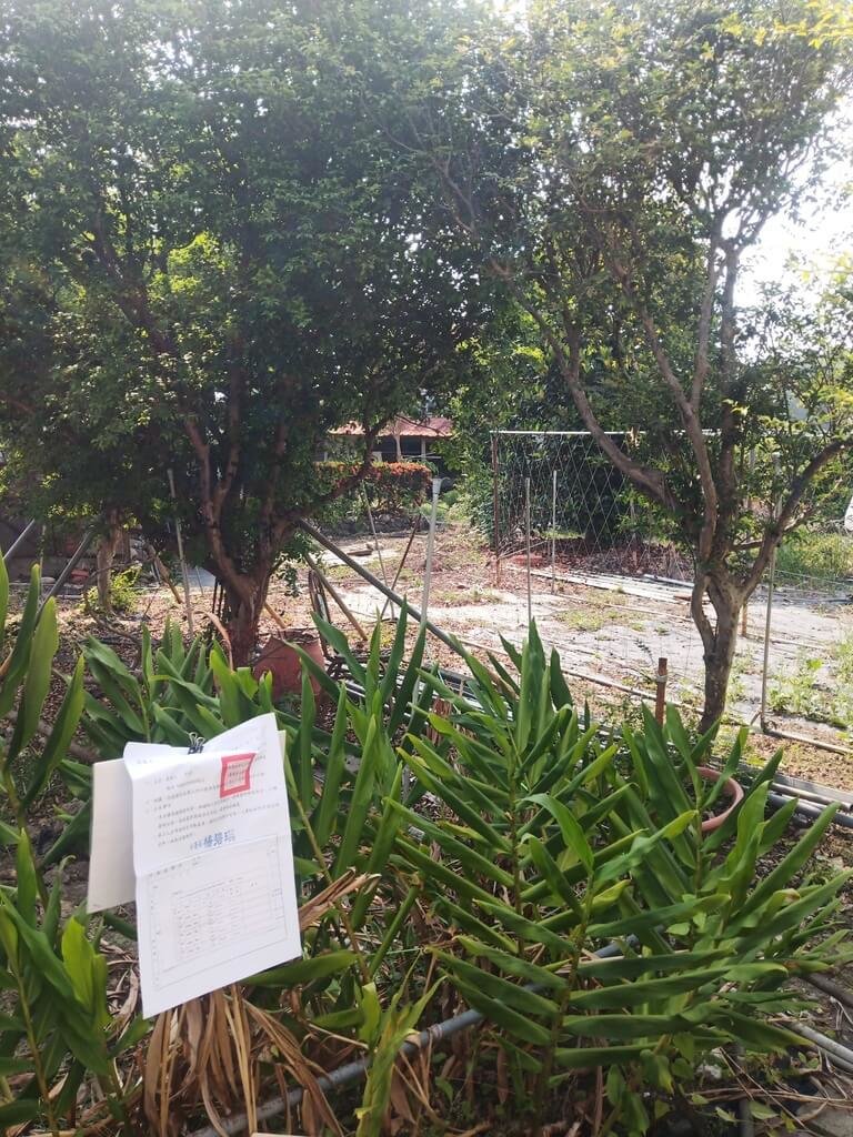 高雄陳姓男子在美濃區龜山段與吉東段土地違法盜採土石，遭裁罰新台幣300萬元。由於陳男未依限期繳納，法務部行政執行署高雄分署查封其名下5筆繼承而來的持分土地，115年1月6日將進行第3拍。（行政執行署高雄分署提供）中央社記者洪學廣傳真　114年12月29日
