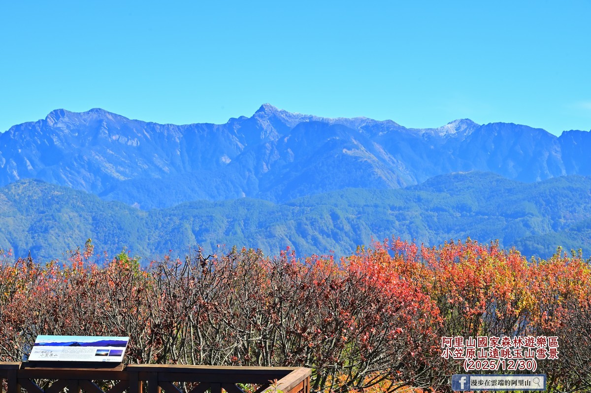 阿里山眺望玉山雪景的照片。 圖：取自漫步在雲端的阿里山