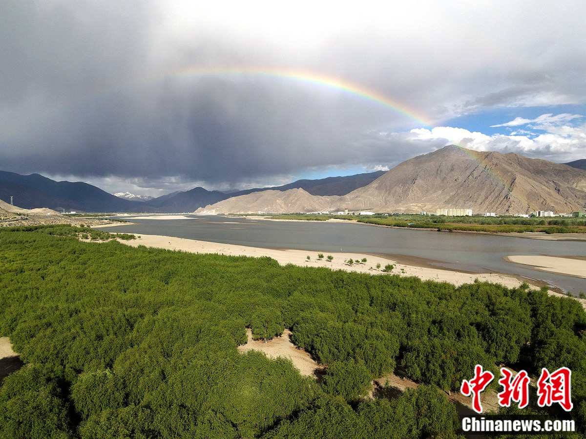 1978年，為了阻止土壤侵蝕與沙漠化的擴大，中國啟動了「北防護林計畫（Three-North Shelterbelt）」，俗稱為「綠色長城」。 圖：翻攝自 中新網