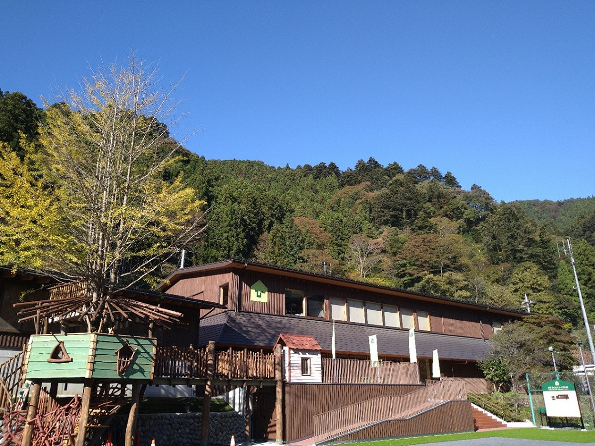 檜原森之玩具美術館的木造建築，坐落於綠意盎然的山林之中，與周邊自然環境融為一體，展現溫暖而親近自然的氛圍。 圖：檜原森のおもちゃ美術館 / 提供
