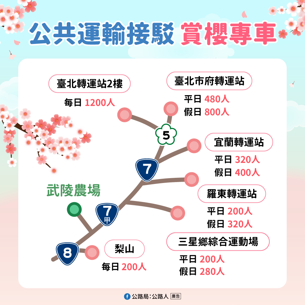 一日遊旅客可搭乘公共運輸上山賞櫻。 圖：交通部／提供
