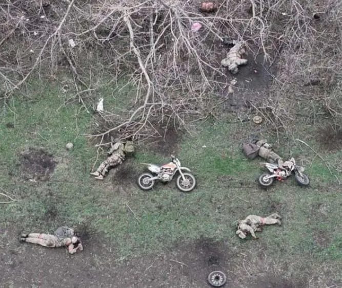 ����˹������¶