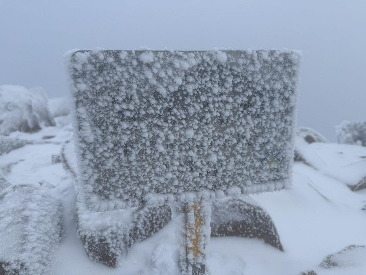 清晨觀測到降雪，積雪深度已達約1公分。 圖：中央氣象署提供