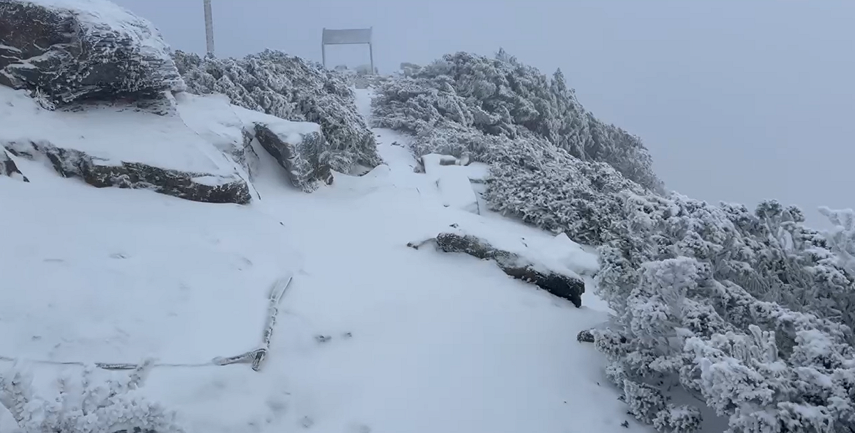 今(9)日玉山氣象站觀測持續降雪情形。 圖：中央氣象署提供