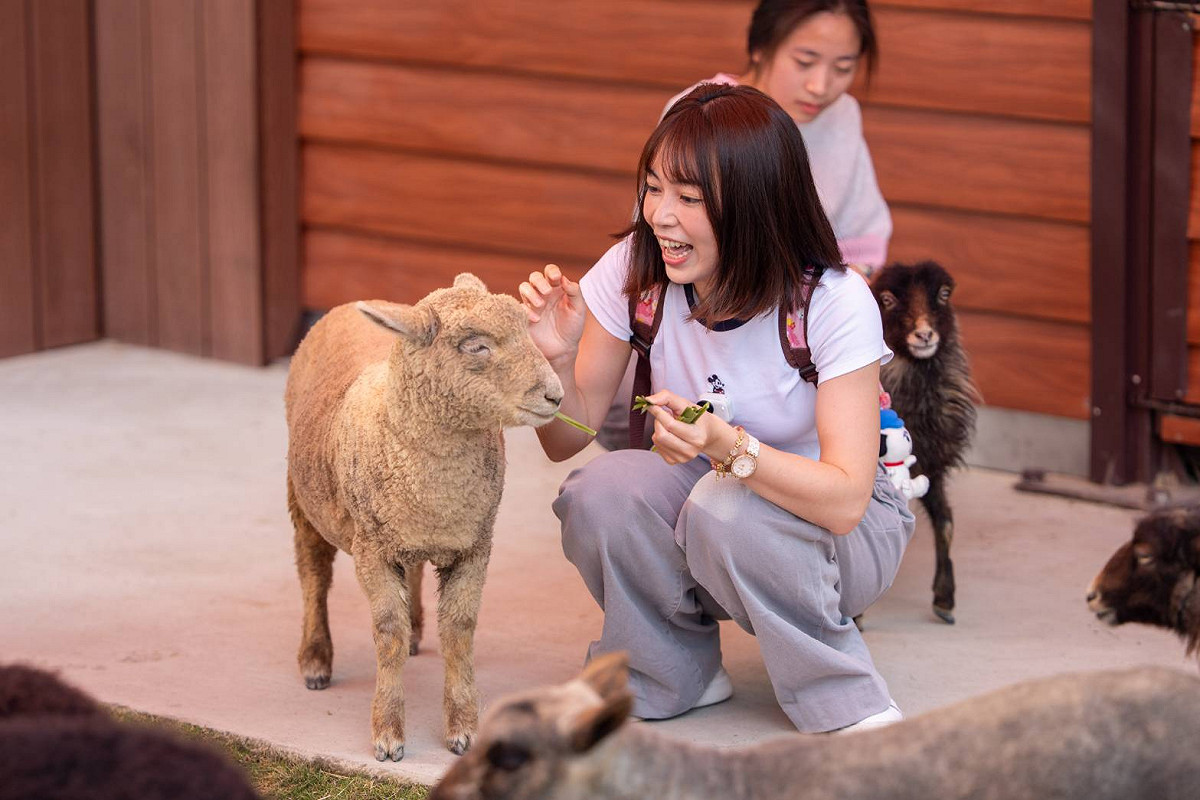 遊客與笑笑羊互動。 圖：高雄市觀光局/提供