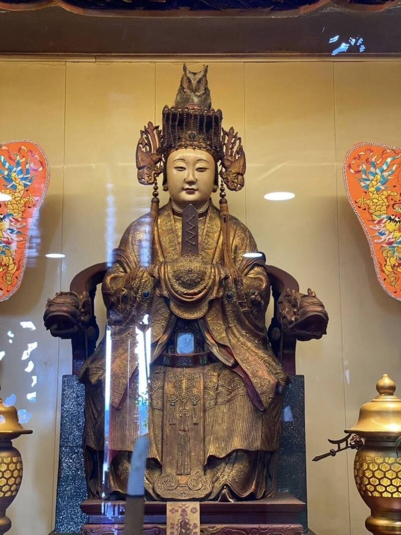 保育類猛禽「領角鴞」停棲在媽祖的頭冠上。 圖：取自臉書「南庄鄉獅頭山勸化堂」