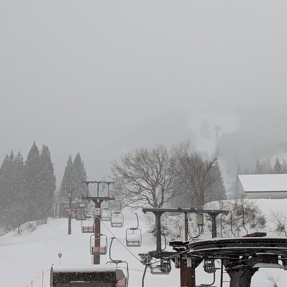 日本新潟縣滑雪場附近昨(25)日傳出滑雪意外。 圖：取自「六日町八海山滑雪場」臉書（資料照）