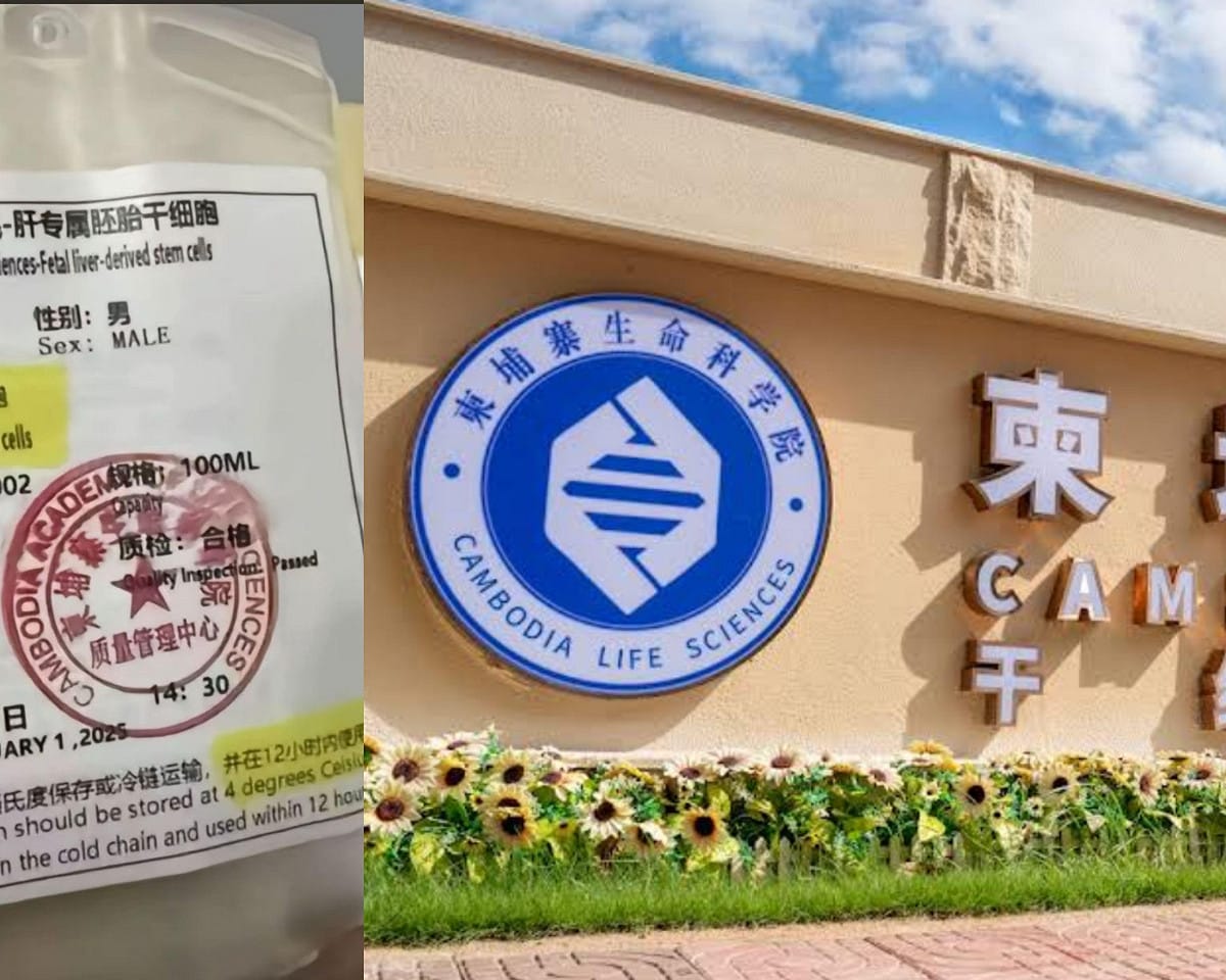 東南亞詐騙進化！反詐博主揭柬埔寨器官摘除鏈，受害者遭強迫服藥45天，年輕人及青少年成為新目標，器官被拆解轉賣。 圖：翻攝自網路