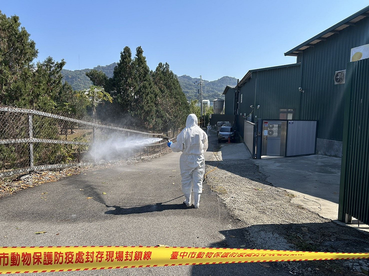 台中市政府派員到豐康牧場消毒，剩餘5千多隻雞今天全數撲殺。 圖：台中市政府/提供