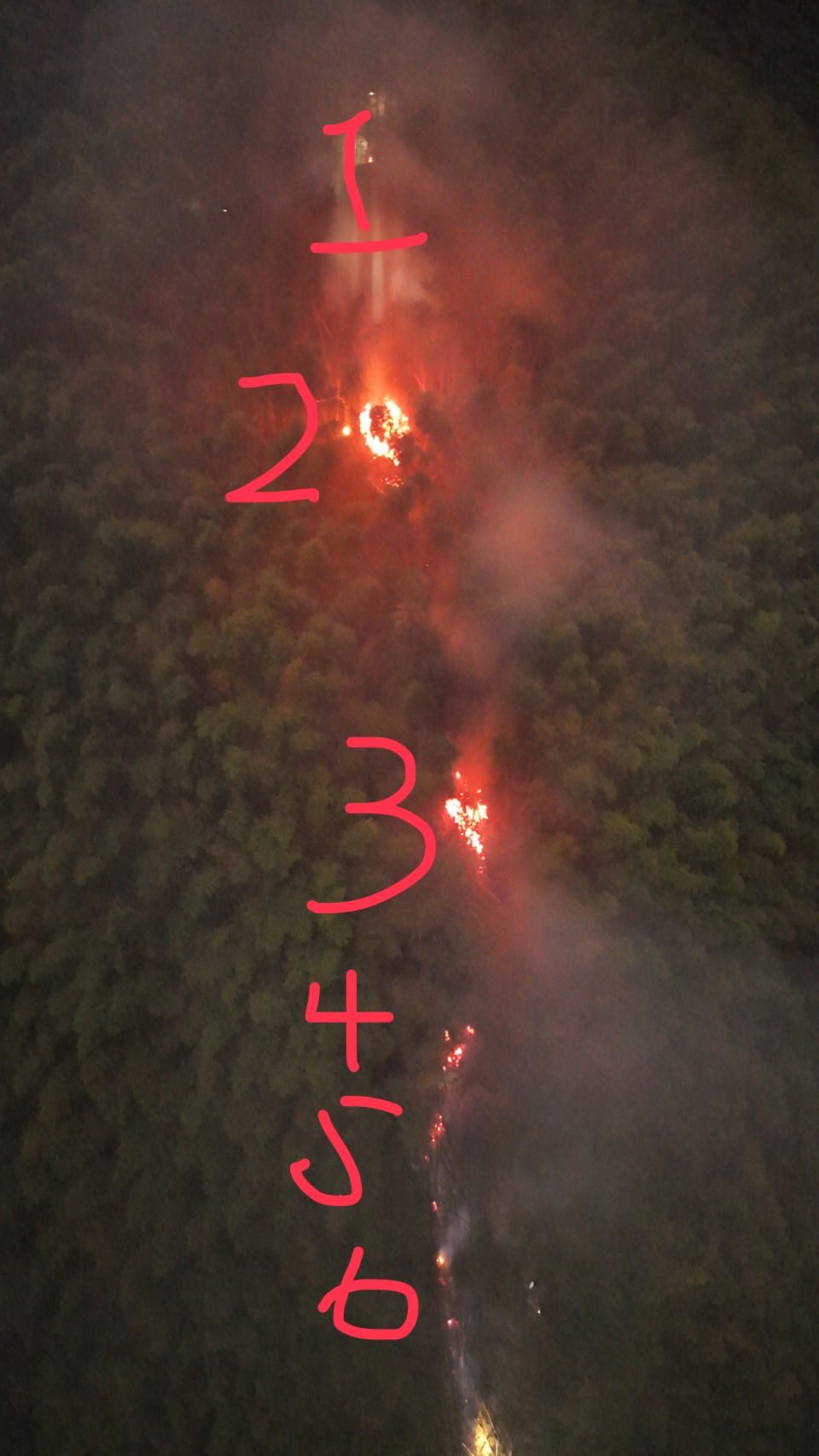 雲林縣古坑鄉草嶺石壁地區昨(29)日晚間傳出火警，現場勘查共出現6個火點。 圖：取自雲林縣副縣長陳璧君臉書