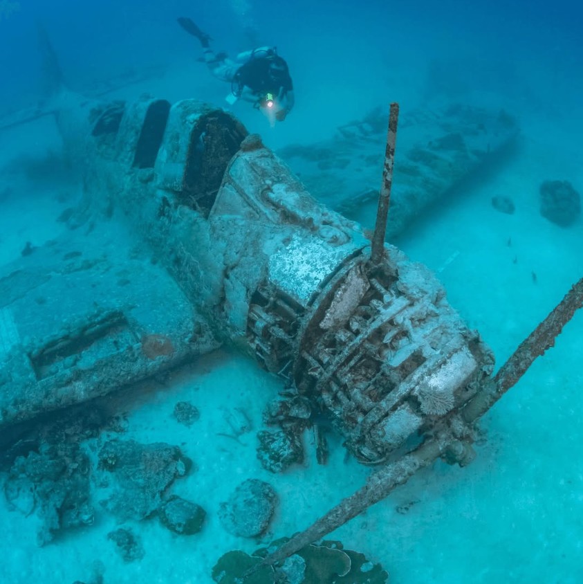 道格拉斯 TBD-1「毀滅者」。 圖：翻攝自 IG 帳號 @airseaheritage