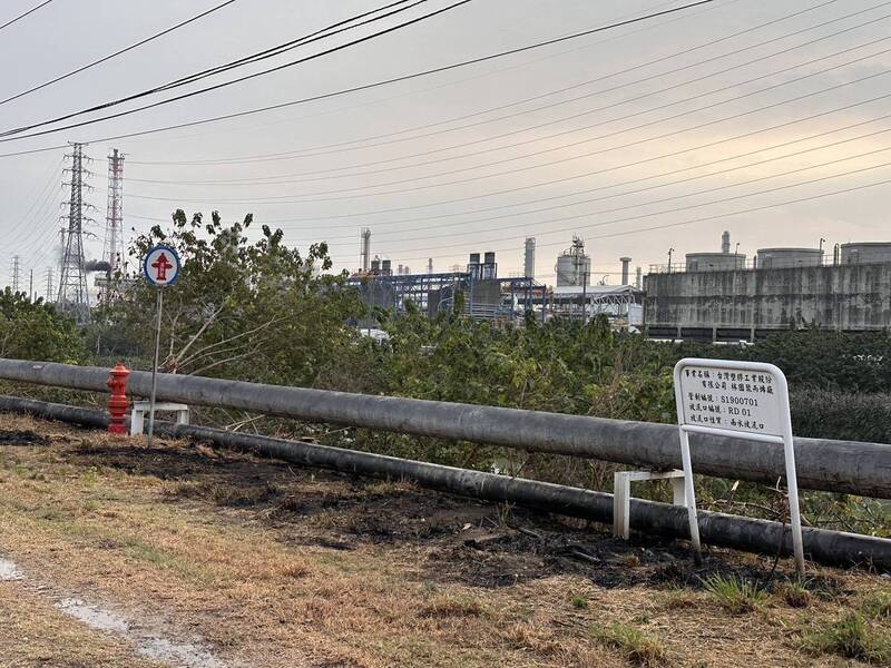 男子抓綠鬣蜥觸電燒傷，更導致4家企業停電。 圖：民眾提供