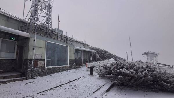 玉山氣象站今（2）天早上下雪。 圖：氣象署／提供