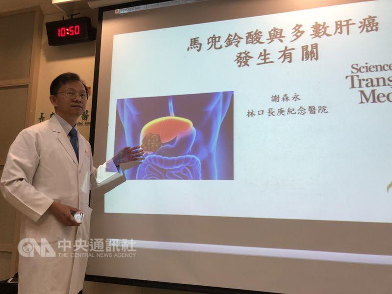 肝癌研究有重大發現，林口長庚醫院胃腸肝膽科系主任謝森永19日表示，長庚研究團隊與新加坡、美國的研究團隊耗時3年，分析台灣98名肝癌患者基因，發現近8成含有「馬兜鈴酸特有的基因突變指紋」，可能曾經使用含馬兜鈴酸中藥，導致基因突變。 圖 : 中央社