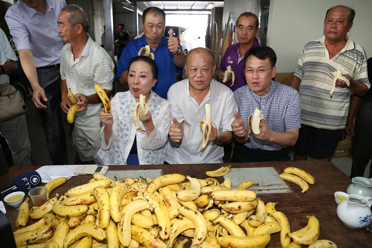 嘉義縣長張花冠和嘉義縣議會議長張明達，一起促銷香蕉，試圖為蕉農脫困。 圖：嘉義縣政府/提供（資料照片）