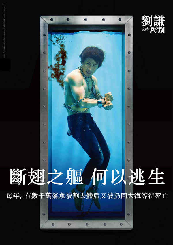劉謙拍攝【斷翅之軀，何以逃生】公益廣告，向民眾傳達每年數千萬鯊魚因魚翅產業而經歷悲慘遭遇。 圖：PETA亞洲善待動物組織/提供