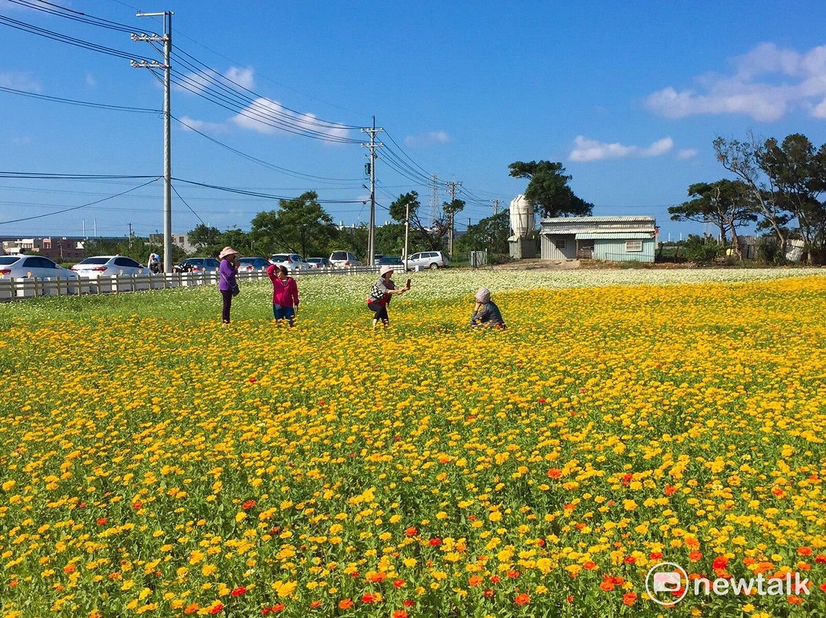 進入花田拍照時務必要注意安全，花田都有規劃水泥步道或是步行路線，切勿踩進花田中讓花卉受損，把美麗的漸層花海留給下一位到訪的客人。 圖：丘秝榕／攝