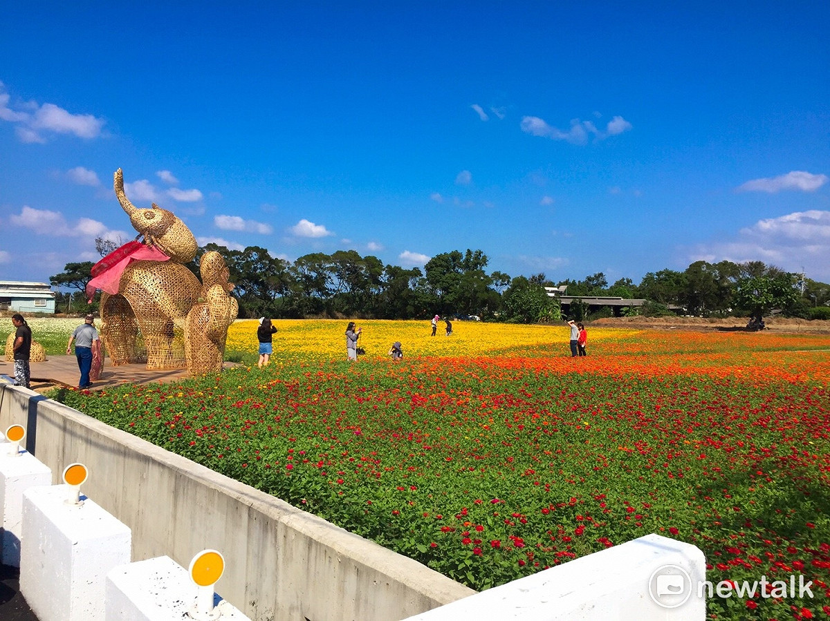下個假期不妨為自己安排一場美麗的「漸層花海」之旅，花彩節各展區雖然有展出時間，但在活動結束後花海會繼續留在現場，想拍照的人不必擔心會錯過美景。 圖：丘秝榕／攝