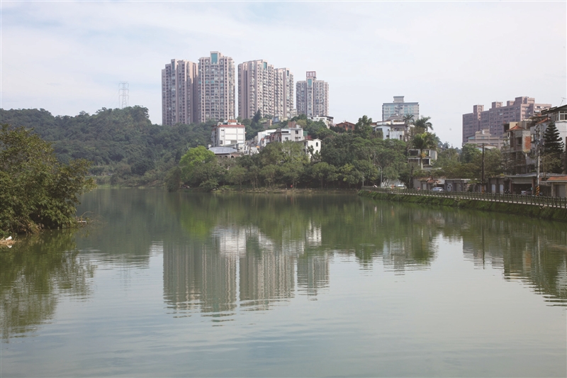 金龍湖早期作為農田灌溉用的埤塘，如今已成汐止民眾假日出遊去處之一。 圖：取自新北市觀光旅遊網