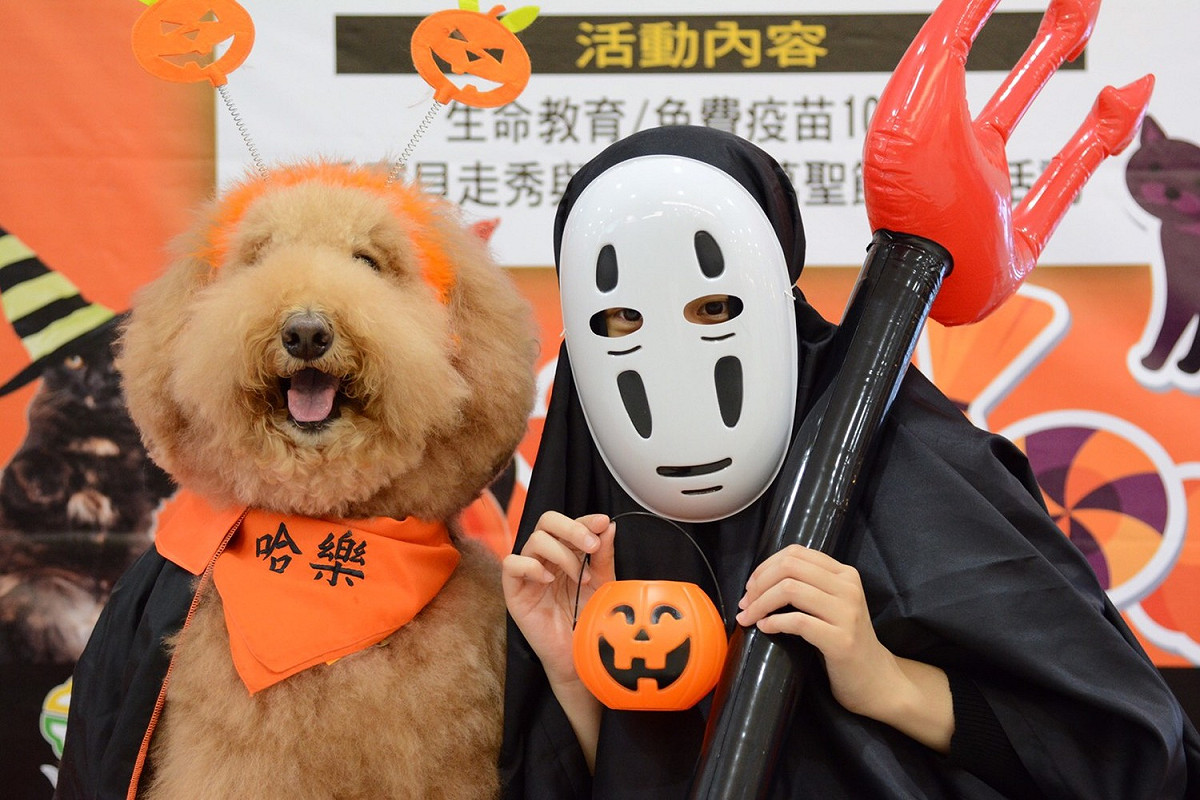 新北市動保處舉辦「毛寶貝萬聖變裝趴」，工作人員戴著無臉男面具，化身鬼怪，和毛寶貝開心合影，非常逗趣。 圖：翻攝新北市動保處網站