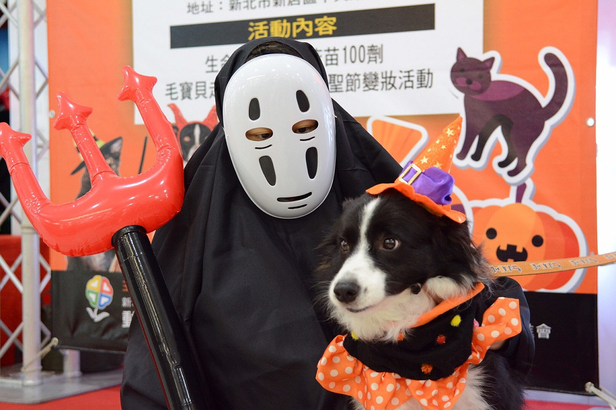 新北市動保處舉辦「毛寶貝萬聖變裝趴」，工作人員戴著無臉男面具，化身鬼怪，和毛寶貝開心合影，非常逗趣。 圖：翻攝新北市動保處網站