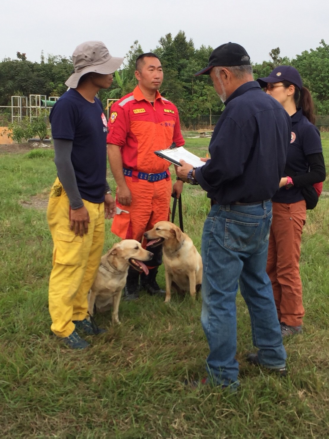瓦礫堆B級(高級)搜索認證中，犬隻必須在30分鐘內，找出1200平方公尺範圍內、深埋於2米深瓦礫堆中的3名待救者。 圖：台中市政府/提供