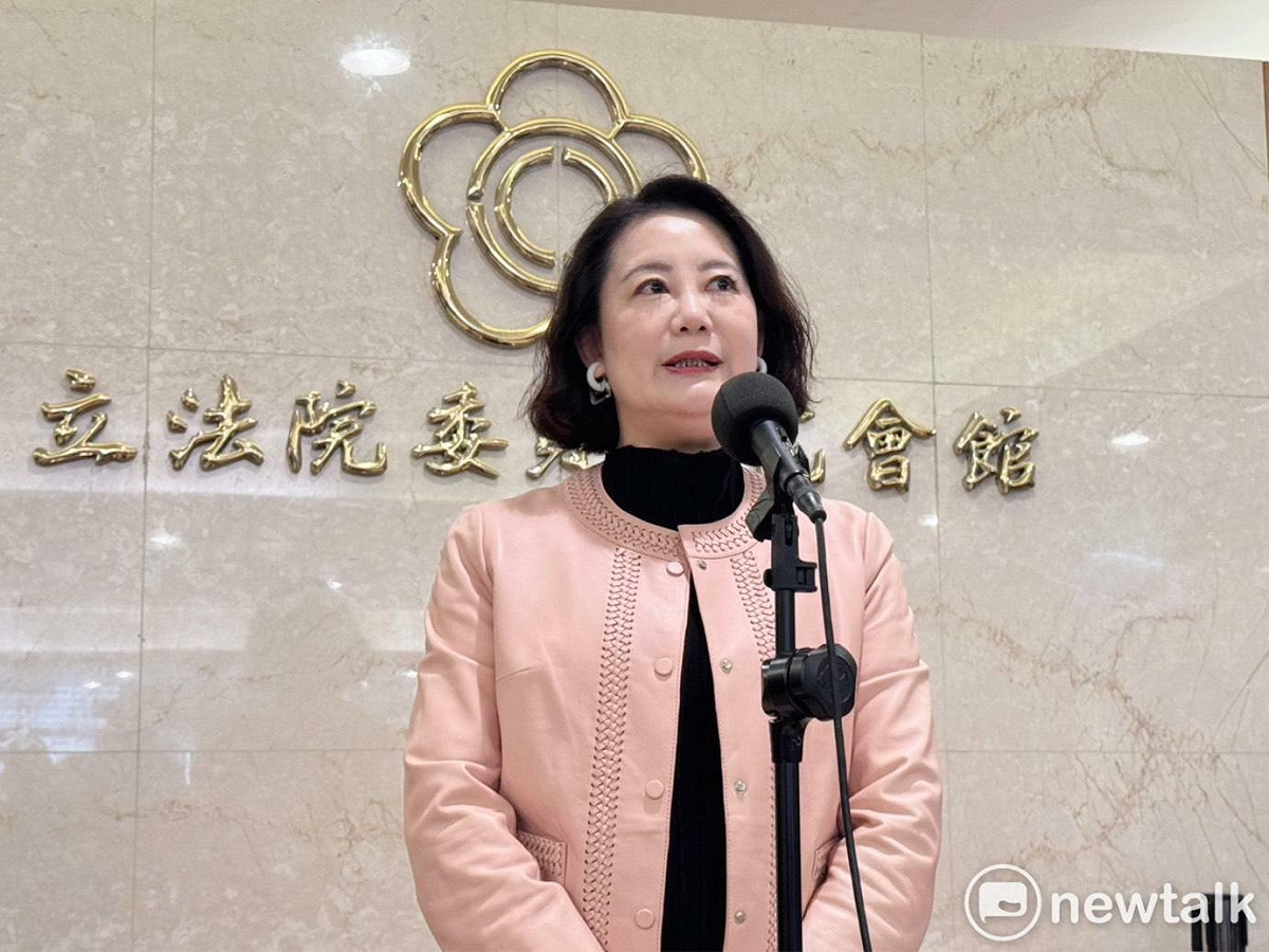 民進黨政策會執行長、立委吳思瑤。 圖：金大鈞/攝
