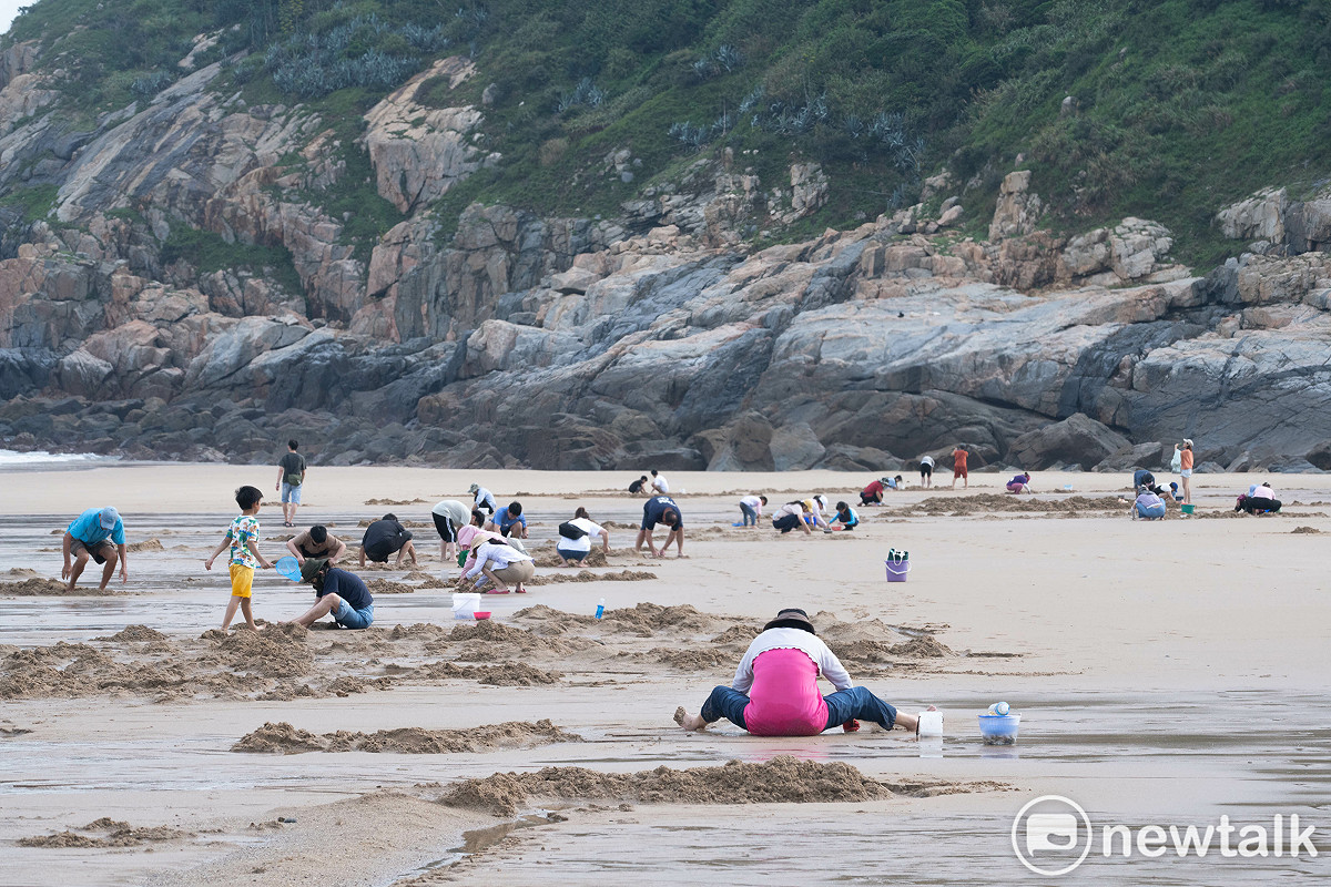 夏天的北竿坂里海灘盛產花蛤，退潮之後，北竿村民帶著水桶和湯瓢在沙灘上挖花蛤，沙灘上人潮滿滿熱熱鬧鬧，花蛤是大自然賜予馬祖人的季節限定禮物，也讓挖花蛤變成馬祖人夏季的全民運動。 圖：張良一/攝
