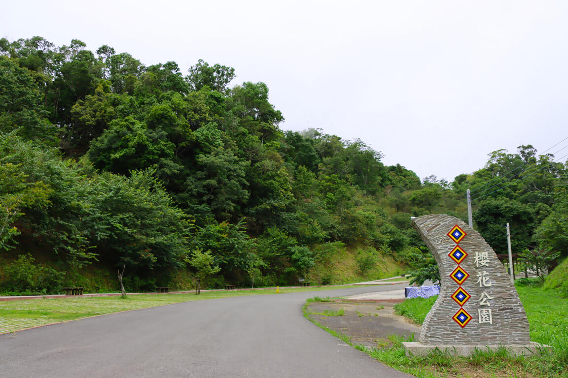 高雄市桃源區的「寶山二集團櫻花公園」，是農曆春節期間踏青好去處。 圖：取自茂林風景管理區官網