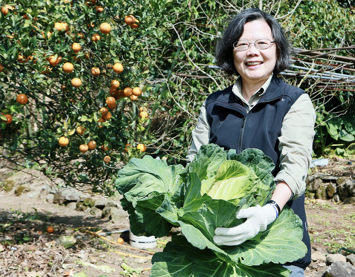 蔡英文拔完菜自信拍照。 圖：蔡英文辦公室提供