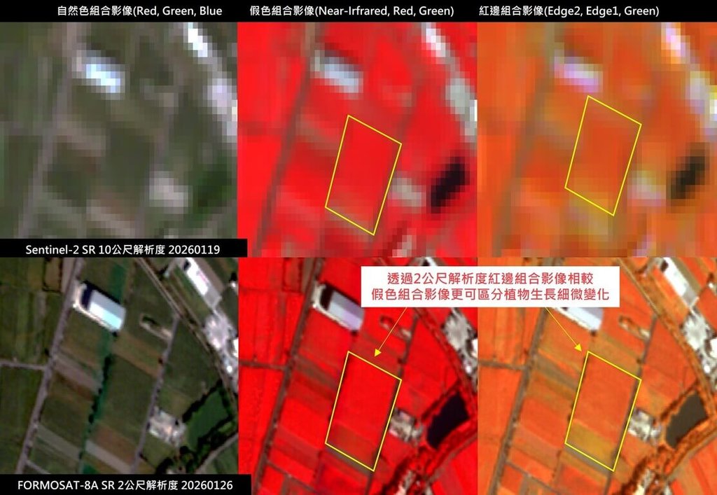 國家太空中心說明，福衛八號的主要任務是光學遙測取像，更能取得全球解析度最高的紅邊（Red Edge-1 與 Red Edge-2）波段影像；透過2公尺解析度紅邊組合影像能更清楚區分植物生長變化。 圖：國家太空中心／提供