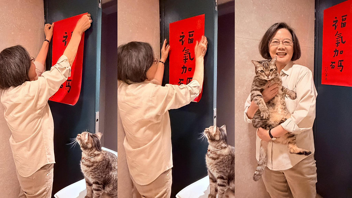 前總統蔡英文16日分享除夕貼春聯的溫馨畫面，毛小孩「蔡想想」全程盯場監督。 圖：翻攝「臉書」蔡英文 Tsai Ing-wen粉絲專頁