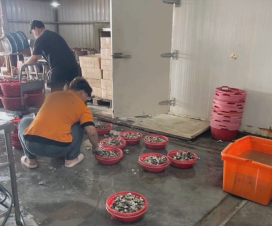 嘉義東石的烤蚵吃到飽餐廳傳出多位民眾上吐下瀉，衛生局已到場稽查2次。 圖：翻攝自爆料公社