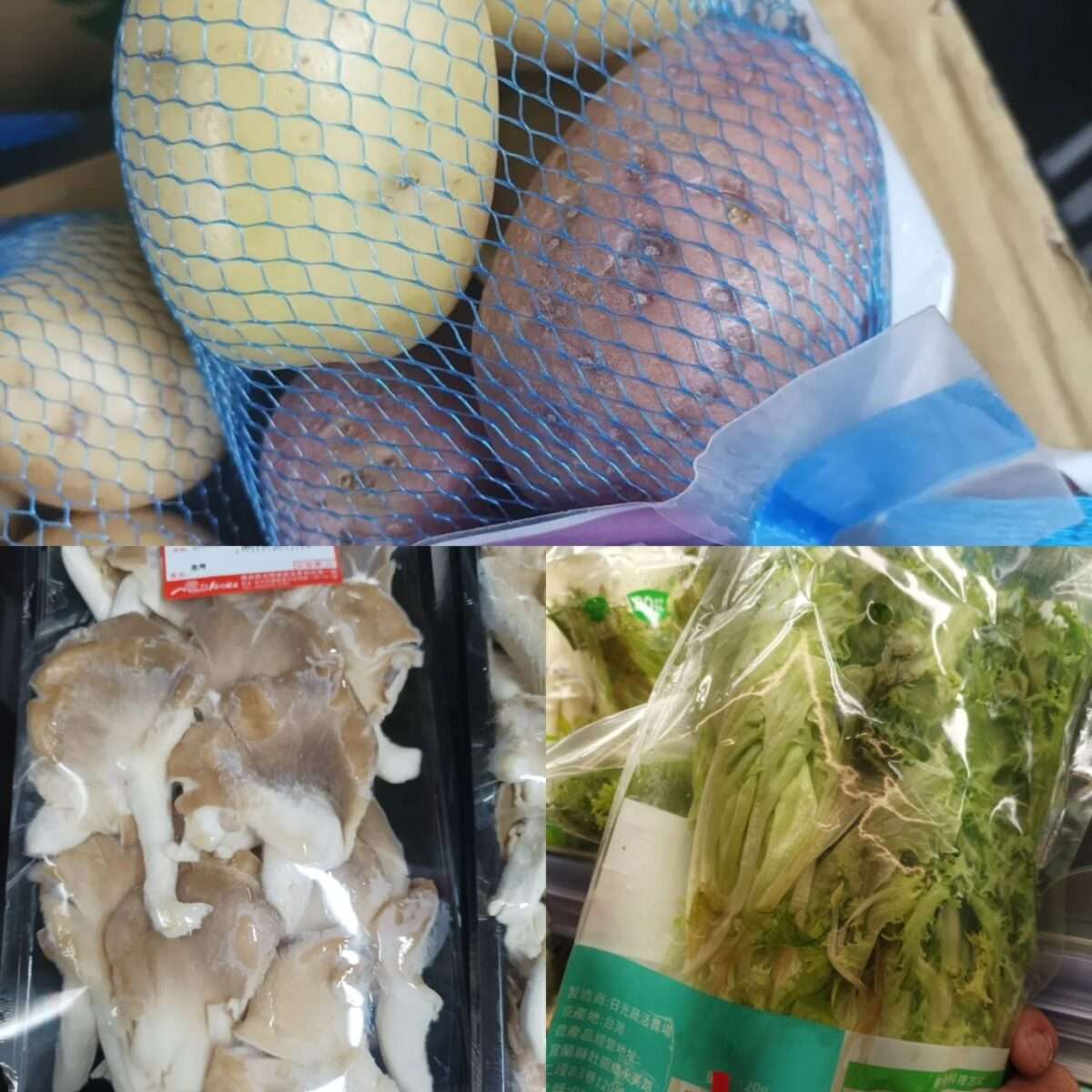 前員工踢爆全聯要求將發霉蔬果處理後重新上架，勸阻反遭逼退，並指控擅改班表。 圖：翻攝自Threads＠ltianhe