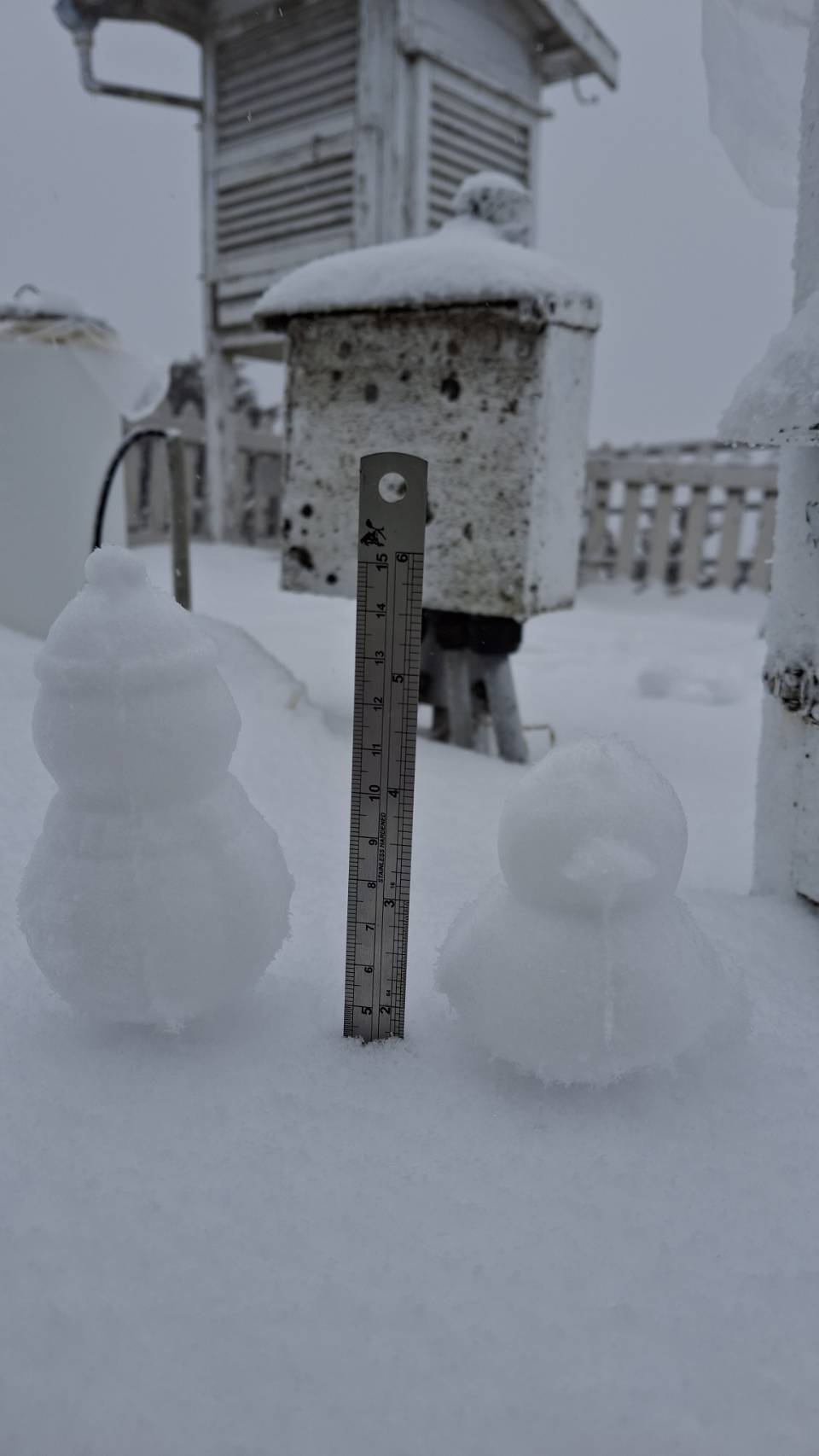 今（28）天上午玉山氣象站連續降雪3小時，積雪有4公分。 圖：氣象署／提供