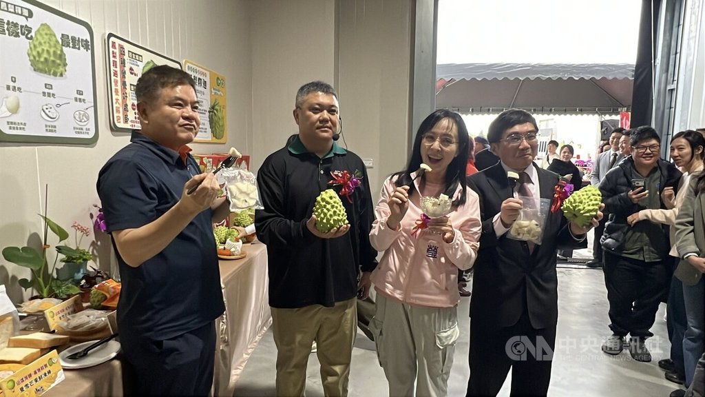 為穩定台東鳳梨釋迦產銷，農糧署副署長陳啟榮（前右1）和民進黨立委陳瑩（左3）、莊瑞雄（左1）28日參加台東山漾蔬果運銷合作社的冷練加工場啟用時宣布，對配合鳳梨釋迦產銷調節的加工業者提供專案貸款及補助果品採購周轉金利息。 圖：中央社提供