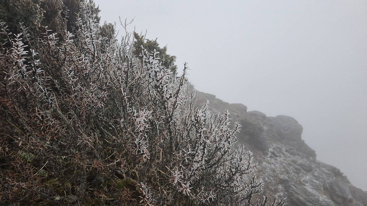 今天凌晨玉山風口測站出現攝氏零下2.1度低溫，因此曾出現降雪。 圖：中央氣象署／提供