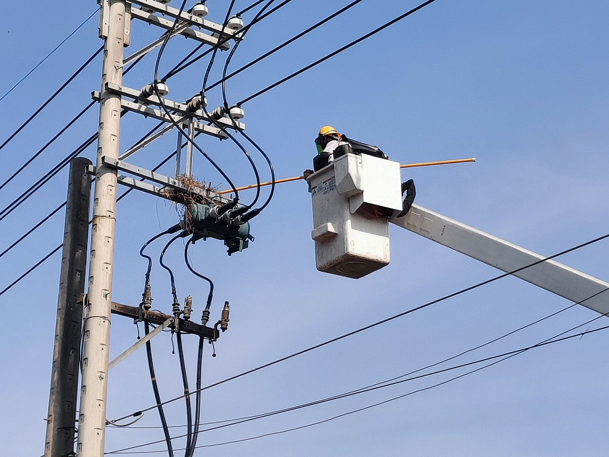 台電人員進行鳥巢摘除作業，避免外物碰觸線路造成停電。 圖：取自經濟部官網