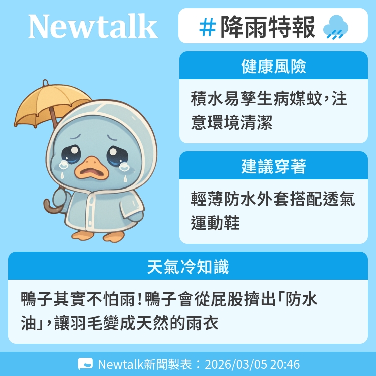 鴨子其實不怕雨！鴨子會從屁股擠出「防水油」，讓羽毛變成天然的雨衣 圖：Newtalk製表