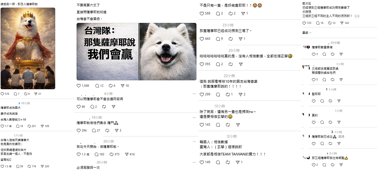 除了很多算命師在網路上預測結果外，不同主人養的薩摩耶犬，紛紛在賽前神準預言。 圖：取自Threads