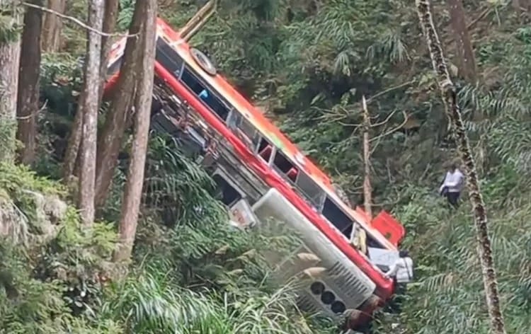 杉林溪園區巴士墜谷，民眾PO文分享去年搭車驚險狀況。 圖：翻攝畫面
