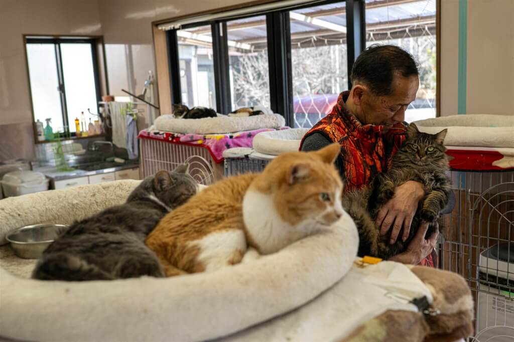 日本311大地震11日將滿15週年，許多災民仍心有餘悸，但福島核電廠前員工赤間徹未遠離這片曾受重創的土地，反而奉獻餘生照顧災區棄養寵物，並將此視為一種贖罪。 圖：（法新社）