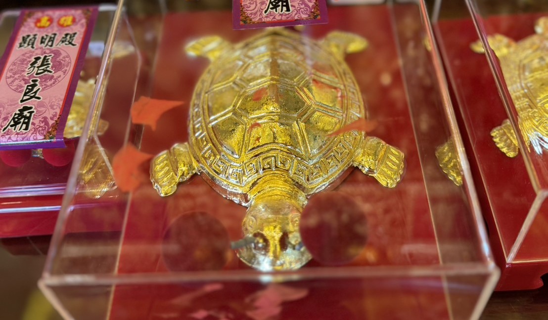 「顯明殿」張良廟金龜祈福活動中最高等級為「1兩金龜王」。 圖：孫家銘翻攝