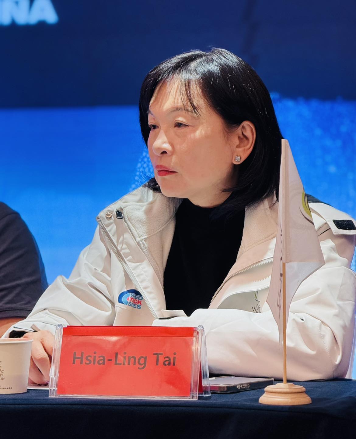馬英九基金會現任代理執行長戴遐齡，傳出將遭撤換。 圖：取自戴遐齡粉專（資料照）