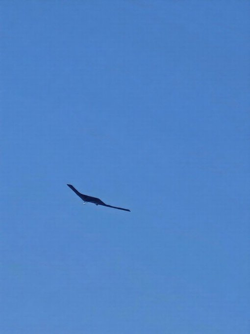 疑似RQ-180隱形無人機在希臘上空被發現。 圖:翻攝自X帳號@washington_EY