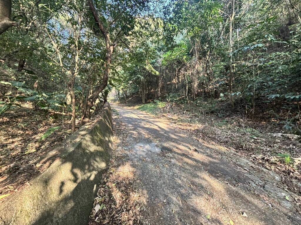 有民眾21日行經彰化員林百果山湖水路旁的產業道路，發現1名男子雙眼被挖出，臉部也有多處刀傷，死狀悽慘，涉嫌行凶的張姓、吳姓男子訊後遭檢方聲押獲准。（民眾提供）中央社記者吳哲豪傳真　115年3月22日