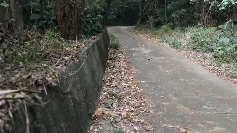 彰化百果山發生殘忍命案，高大成分析，可能有黑市介入買賣器官。 圖：翻攝畫面