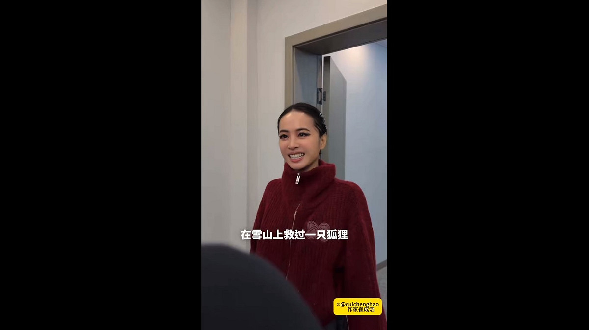 近期中國網上瘋傳「醬板鴨」相關 AI 影片，就連天后蔡依林也搭上這股熱潮，利用醬板鴨宣傳自己的長沙演唱會。 圖：擷取自 @cuichenghao X 分享影片