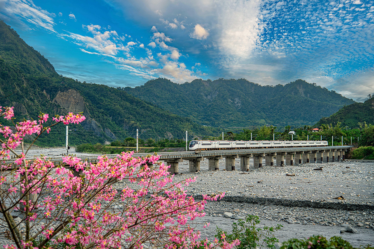 受到自由行旅客喜愛的交通電子套票「Taiwan PASS」，將自4月1日進行全新改版升級。 圖：交通部觀光署／提供